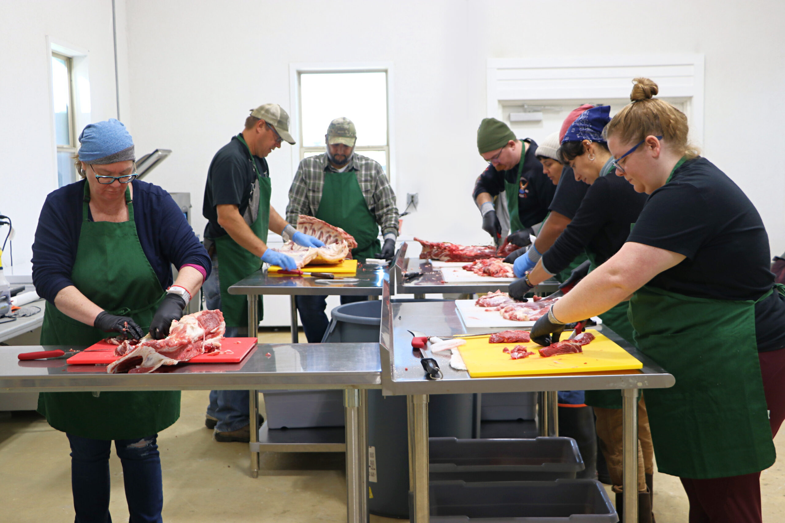 Group beef class instruction in Texas